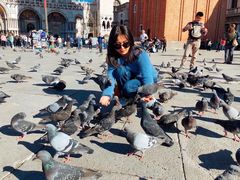 -圣马尔谷圣殿宗主教座堂