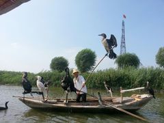 android_upload_pic-白洋淀景区