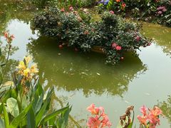 -人民公园(罗湖区)