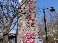 -江南天池