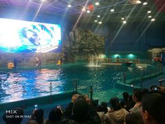 -威海华夏城景区