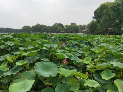 -郭守敬纪念馆