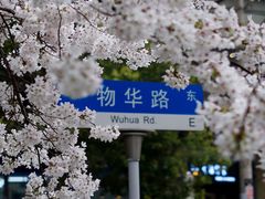 -玛格萝妮比萨屋(四平店)
