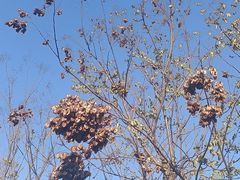 -滆湖低碳生态公园