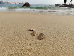 -玫瑰海岸文化旅游度假区