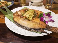 -紫滇源云南生态菜(丹凤街店)