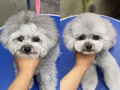 -PETKIT小佩宠物·低压洗护(国顺东路店)