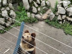 -成都动物园