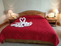 -南京维景国际大酒店(南京博物院店)