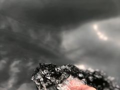 -白洋淀景区