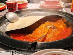 -生活如沸·顺德水牛奶火锅(大学路店)