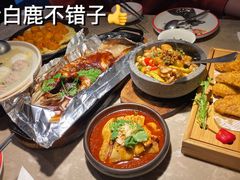 -新白鹿餐厅(金鹰新街口店)