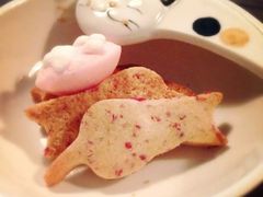 -猫咪博物馆(顶澳仔猫街店)