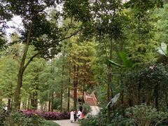 -广州市帽峰山景区