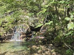 -罗田天堂寨风景区