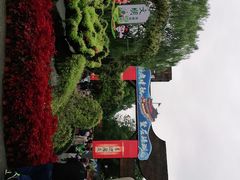 -溱湖国家湿地公园