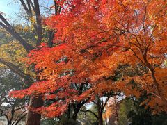 -苏州大学(天赐庄校区)