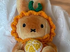 -西归浦每天偶来市场