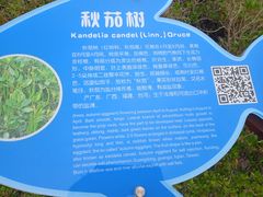 -北海金海湾红树林生态旅游区