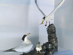 -浙江自然博物院(杭州馆)