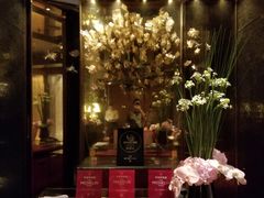-金轩中餐厅 Jin Xuan(浦东丽思卡尔顿酒店)