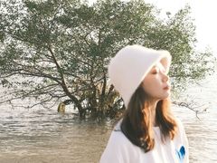 -宝安西湾红树林湿地公园