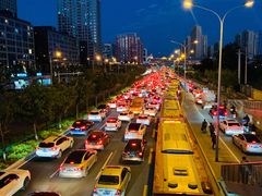 -食神鱼头佛跳墙(百子湾旗舰店)