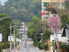 -火炉山森林公园