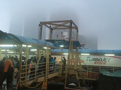 -信德中旅船务管理有限公司