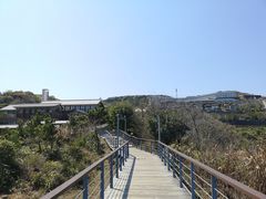 -渔寮风景区