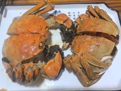 -呼吸森林·生态农庄农家乐私房菜