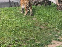 -祥源·阜阳生态乐园