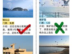 -幸福门