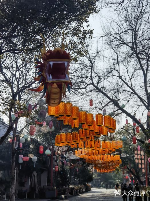 西溪国家湿地公园图片