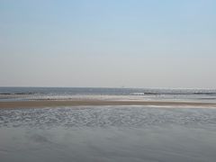 -日照海滨国家森林公园