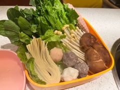-润园四季椰子鸡火锅(海上世界店)