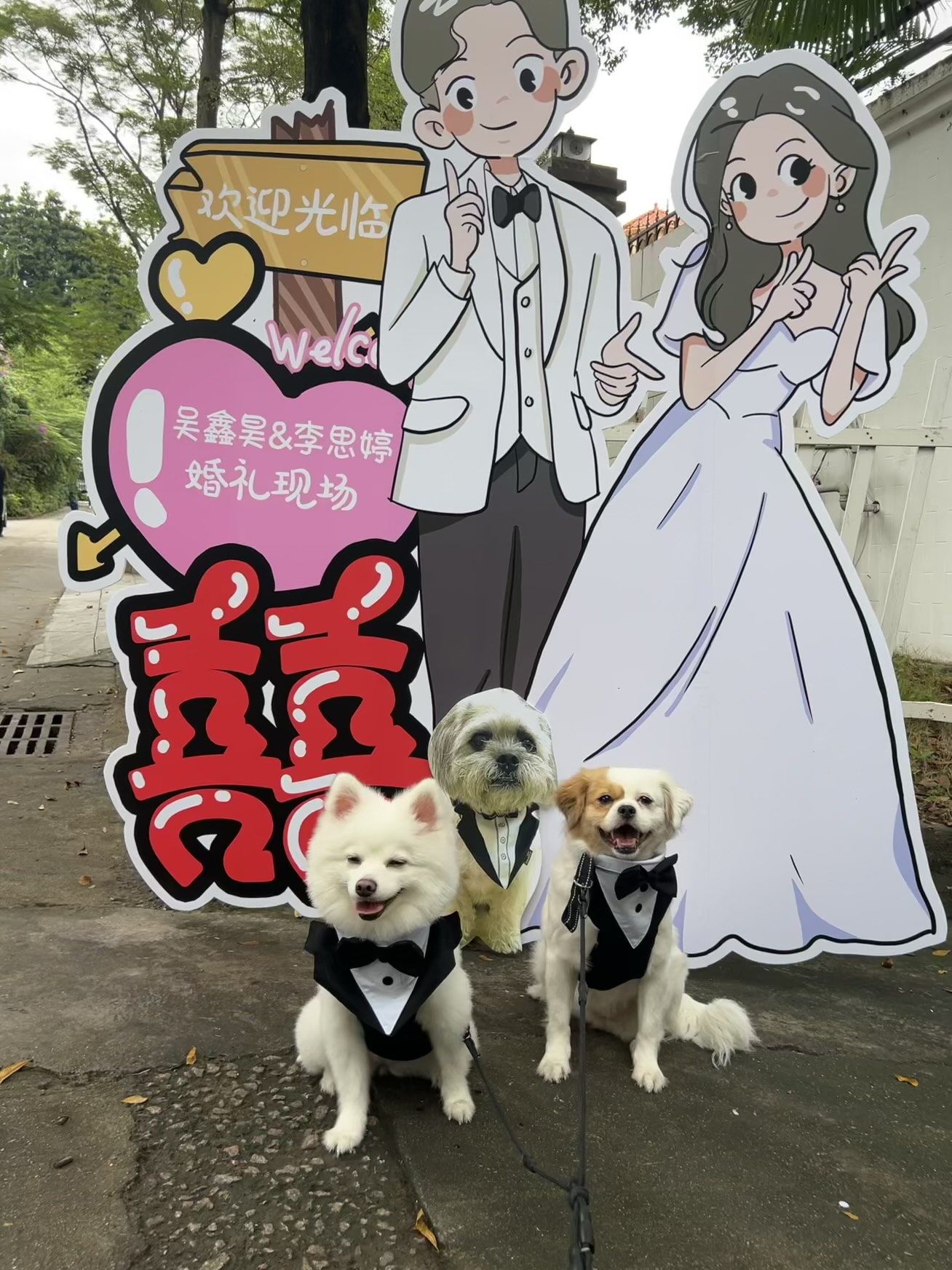 婚礼与狗狗的快乐