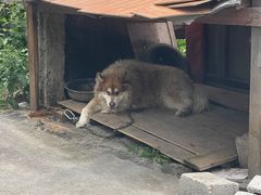-鲁朗纳麦石锅鸡庄园