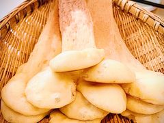 锅边馍馍-有红鸡毛店·川菜(抚琴夜市店)