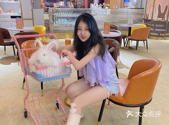 探店‍♀️｜重庆首家安哥拉巨兔体验馆来啦
