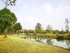 -广富林郊野公园