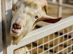 -金庭庄园酒店-停车场