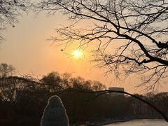 -北陵公园