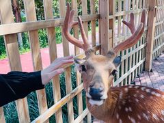 -水上乐园·欢乐世界