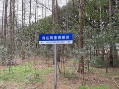 -同里国家湿地公园