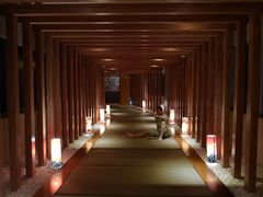 -重庆南山海昌汤都