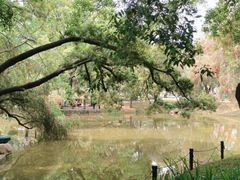 -人民公园(罗湖区)