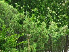 -元大都城垣遗址公园