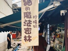 -猫的魔法密林(衣裳街店)