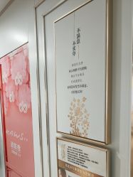 -镁连社·美联社